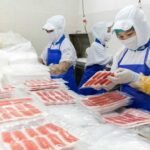Fish Packing Worker Opportunities