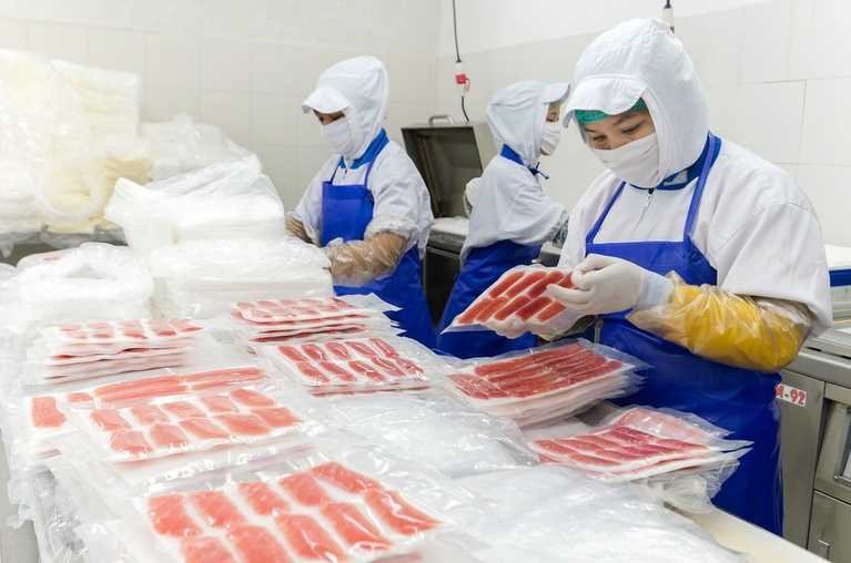 Fish Packing Worker Opportunities in Norway
