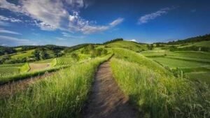 Farm Worker Opportunities