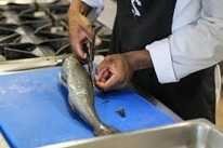 Fish Packing Worker Opportunities