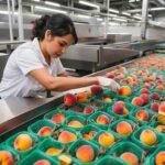 Fruit Packer Opportunities in Canada