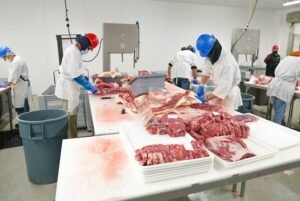 Meat Processing Worker