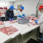 Meat Processing Worker