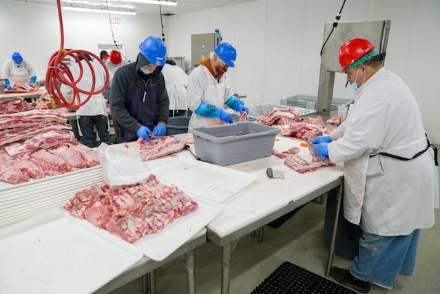 Meat Processing Worker Opportunities in New Zealand